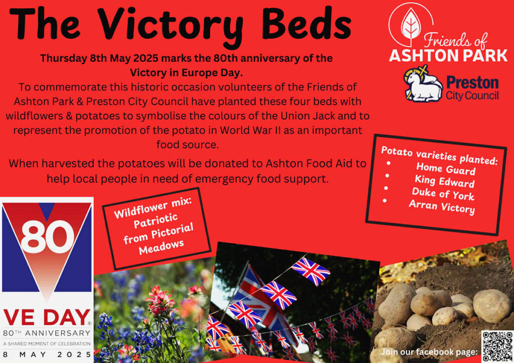 Victory Beds