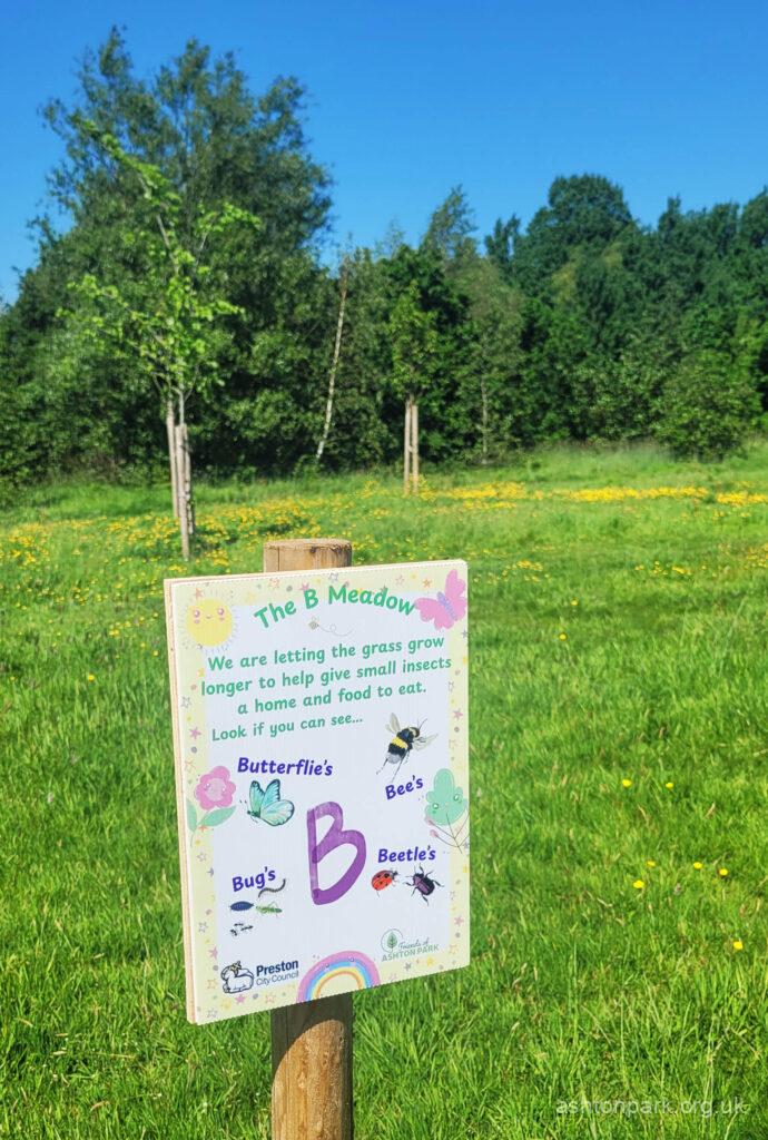 Bee Meadow - Ashton Park Preston