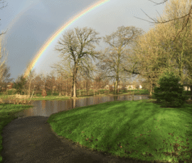 double rainbow