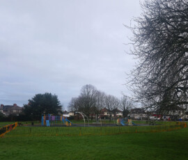 North Play Area