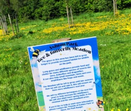 Bee Meadow - Ashton Park Preston