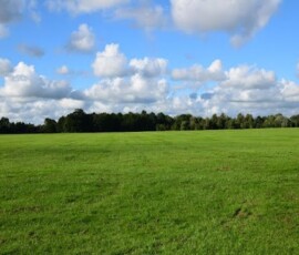 Fight to save Ashton Park in Preston from Council developers Fight to save Ashton Park video originally created in 2023